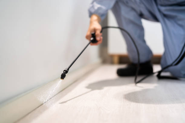 Licensed Fumigation Services service in Park View, IA - Nex Pest Control