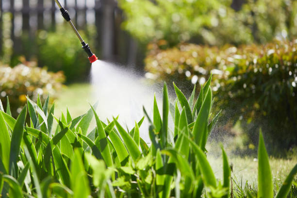 24/7 Emergency Fumigation Services experts in Park View, IA